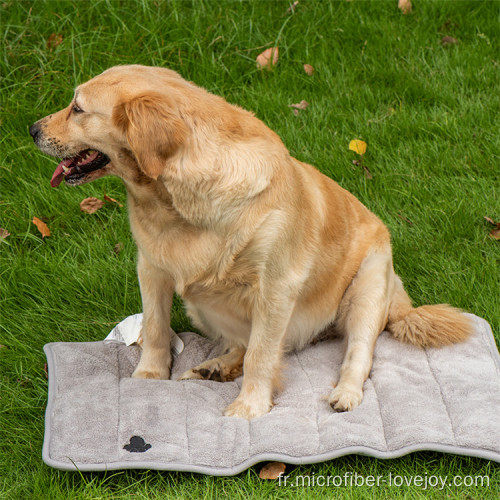 Serviette sèche de bain pour chien en chenille en microfibre douce